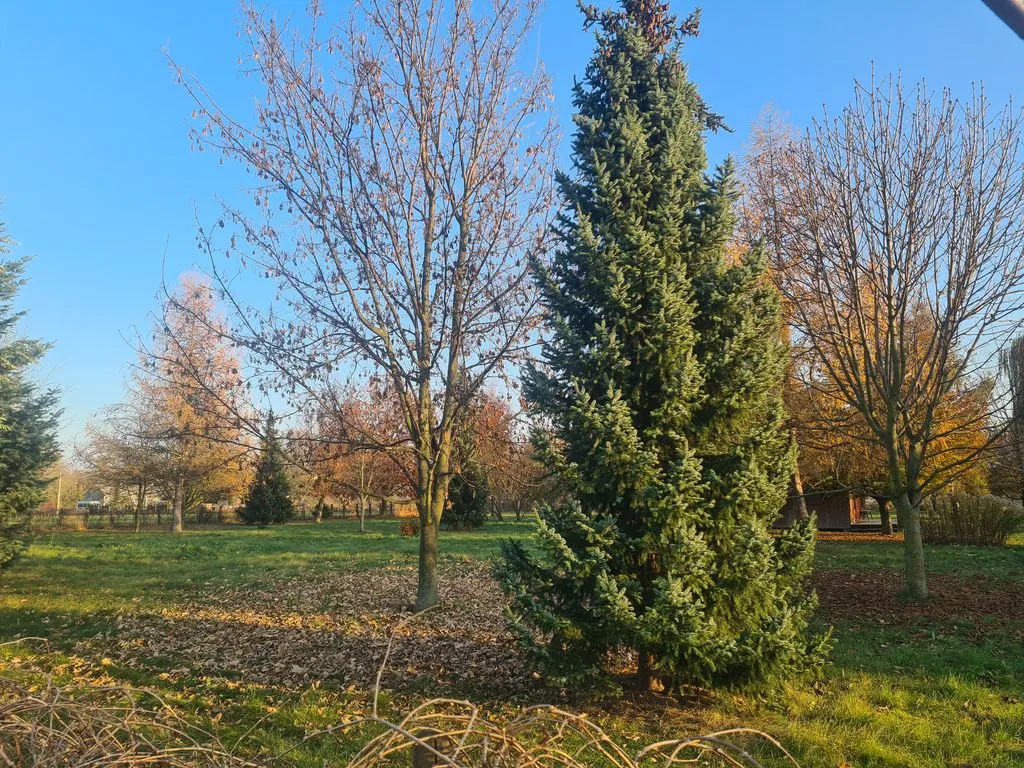 Działka 2841 m² · Warszawa — zdjęcie 3